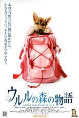 Казка про дивовижний ліс Урулу (2009)