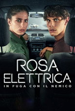 Rosa elettrica (2026)
