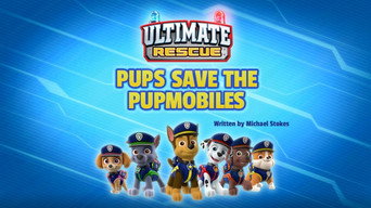 Dino Rescue: Pups Save a Sore Dino