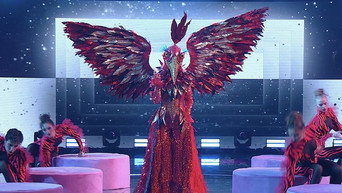 Episode 6