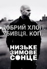 Низьке зимове сонце
